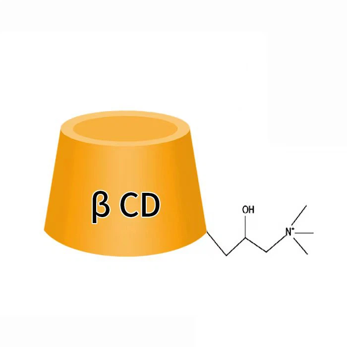 Cationic Cyclodextrin